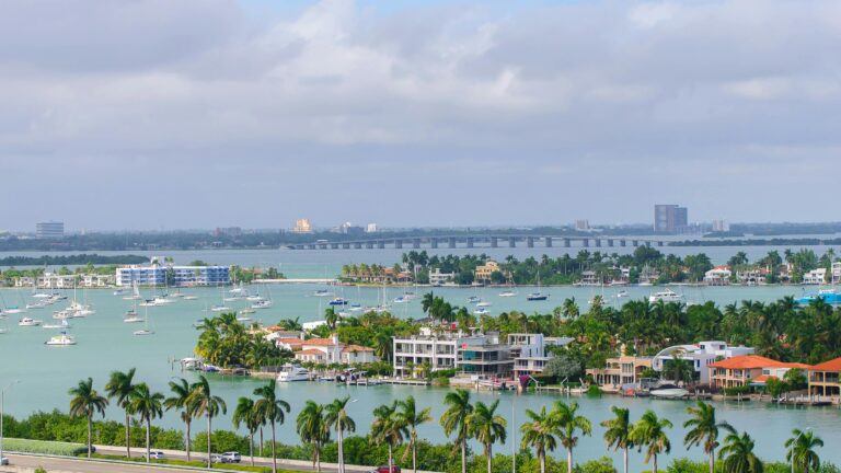 Scenic aerial view of tropical coast with palm trees and sailboats basking in summer sunlight.